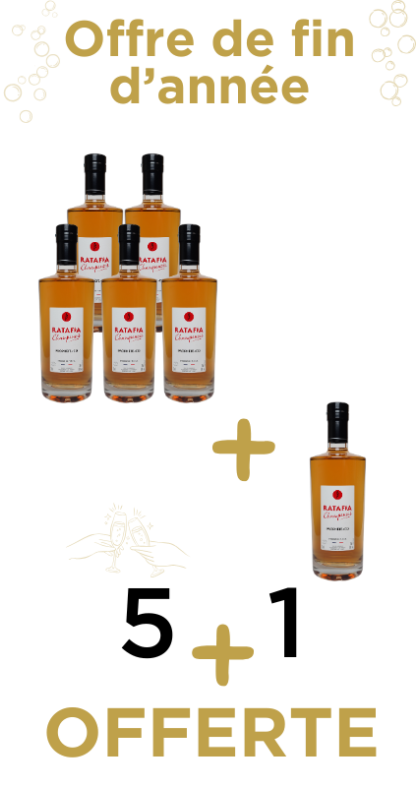 Offre de fin d'année pack 5+1