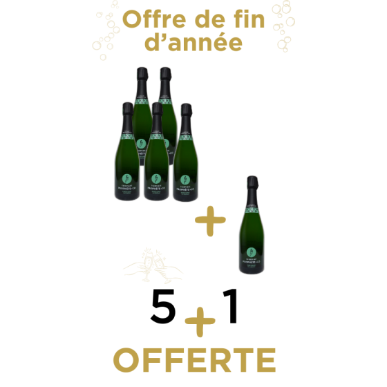 Offre de fin d'année pack 5+1