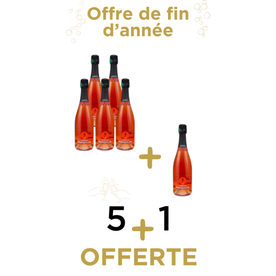 Offre de fin d'année pack 5+1