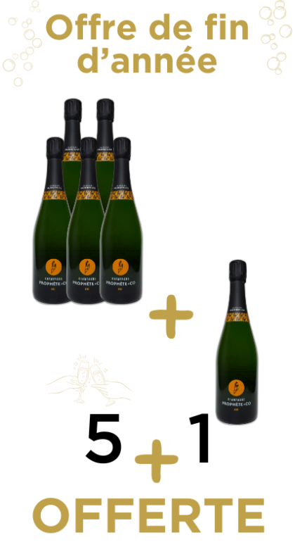 Offre de fin d'année pack 5+1